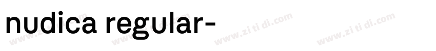nudica regular字体转换